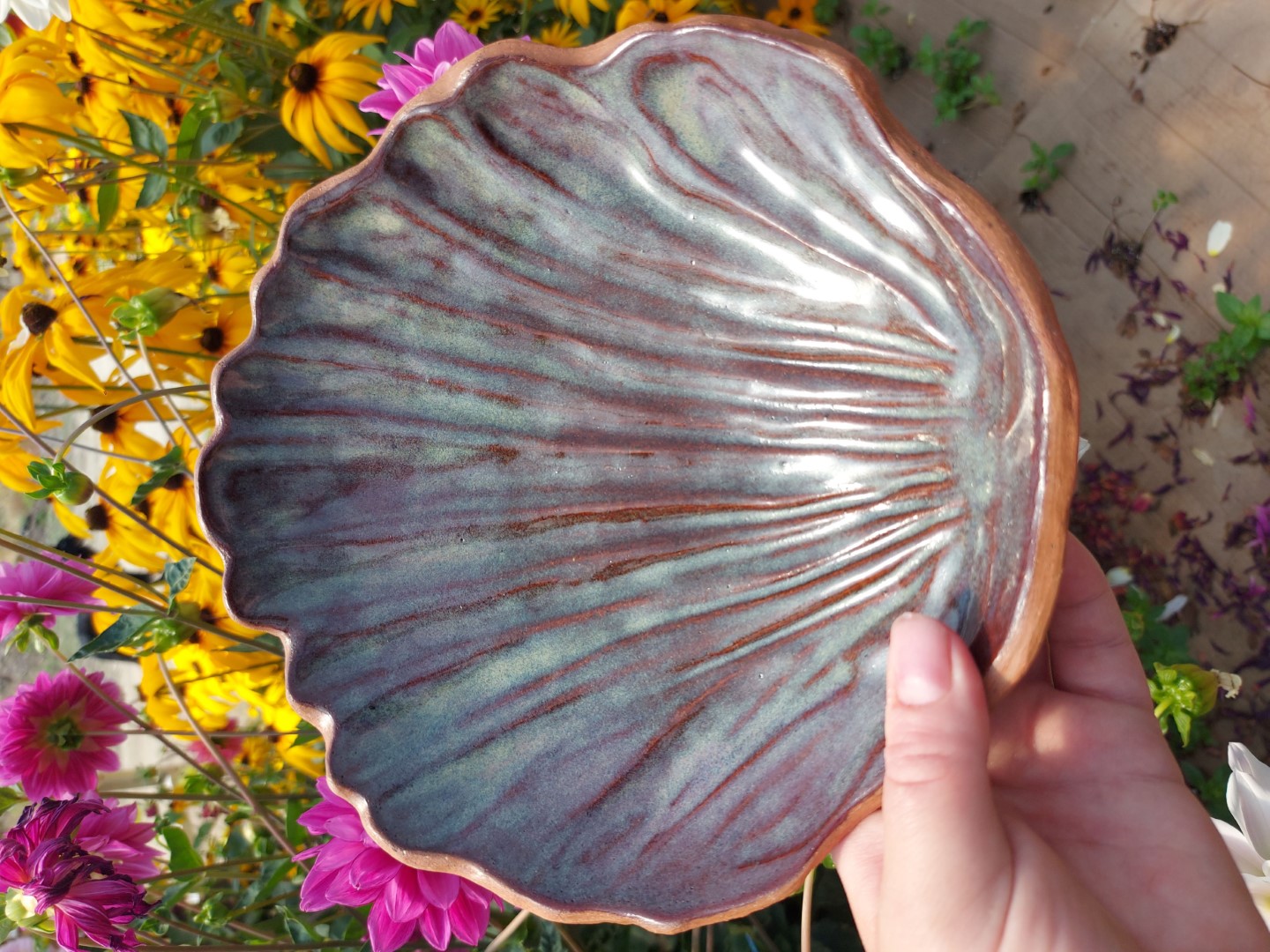 Shell Plate