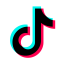 tiktok icon